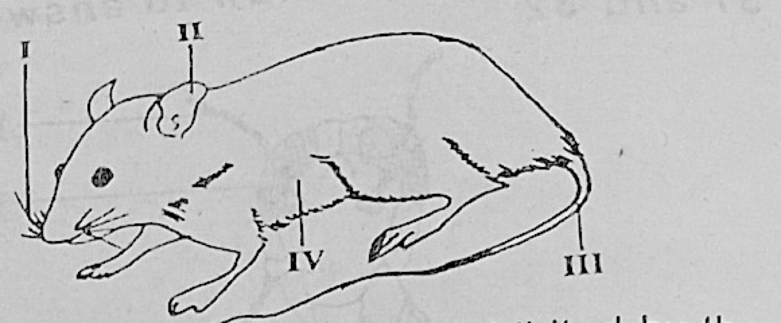 Diagram for this question