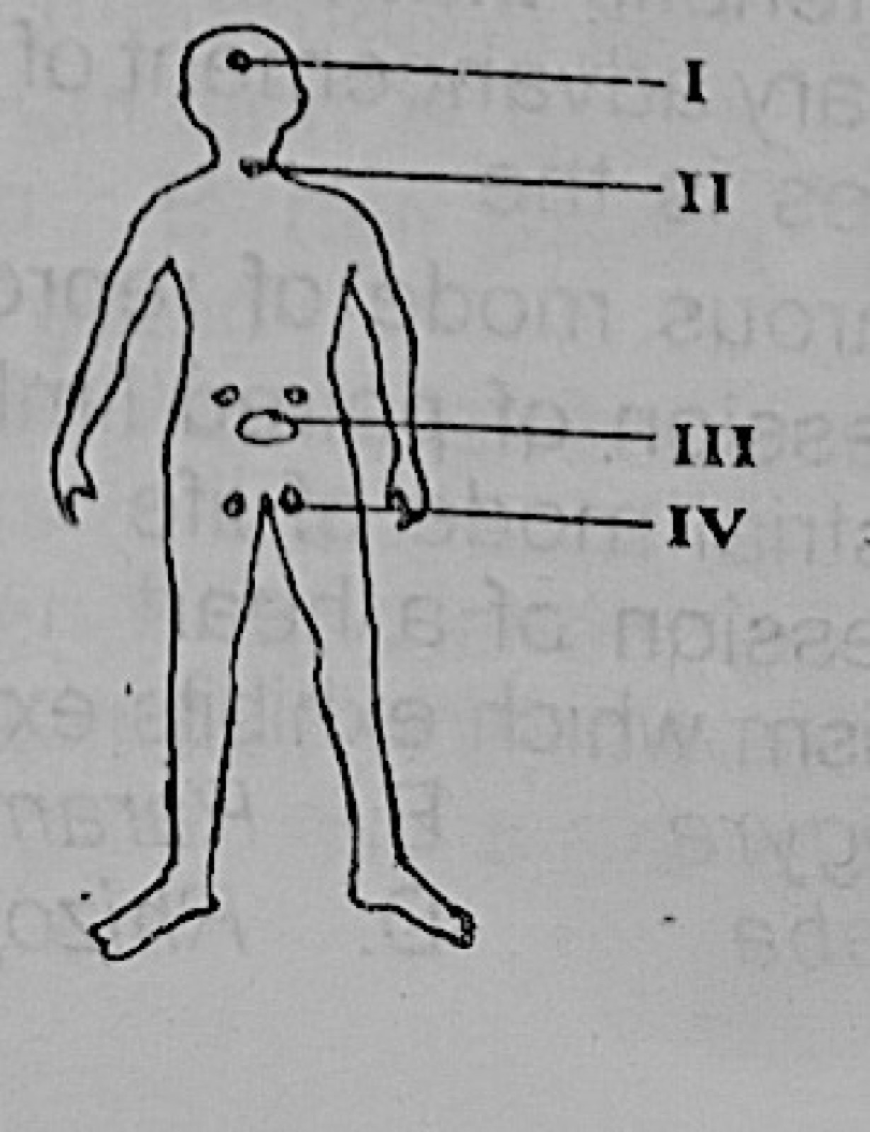 Diagram for this question