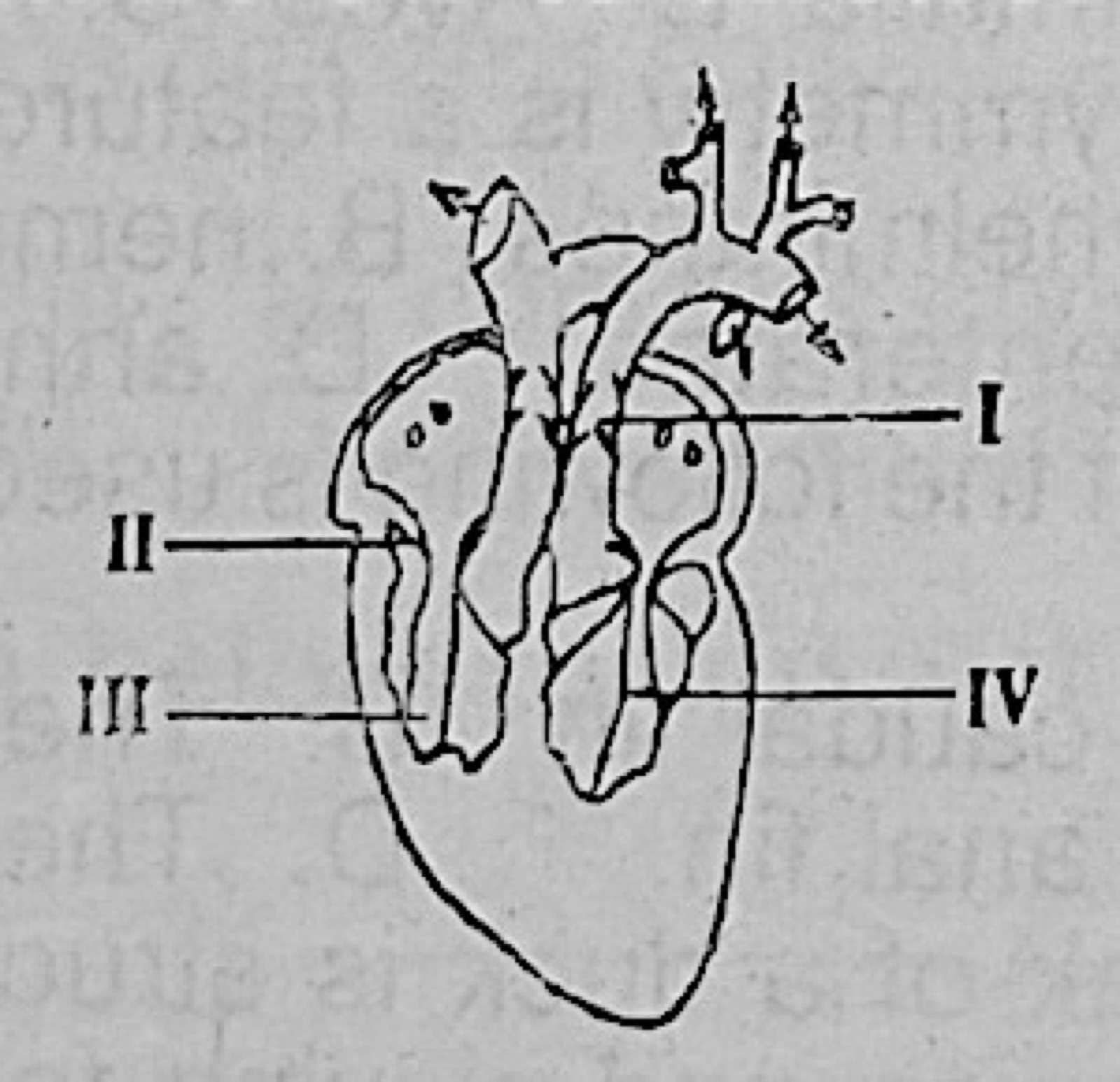 Diagram for this question