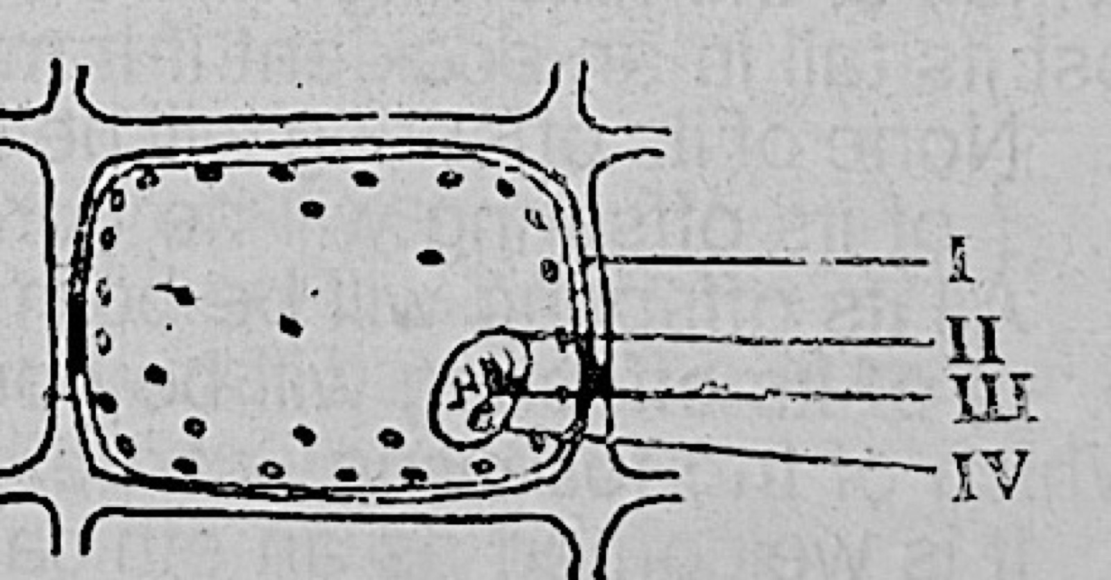 Diagram for this question
