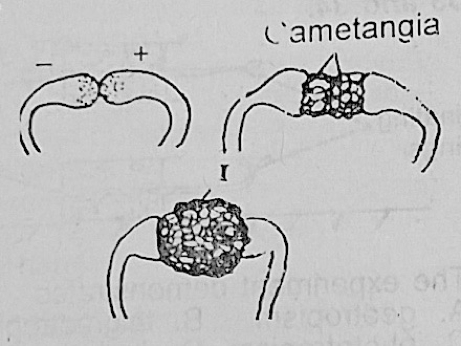 Diagram for this question