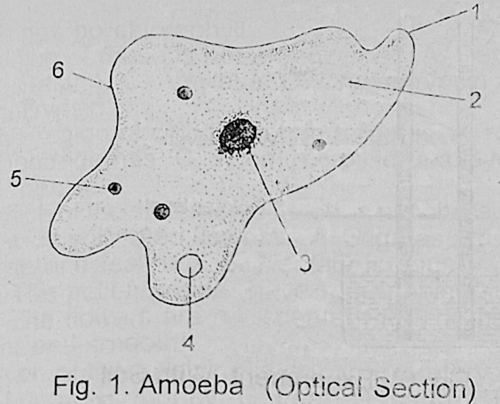 Diagram for this question