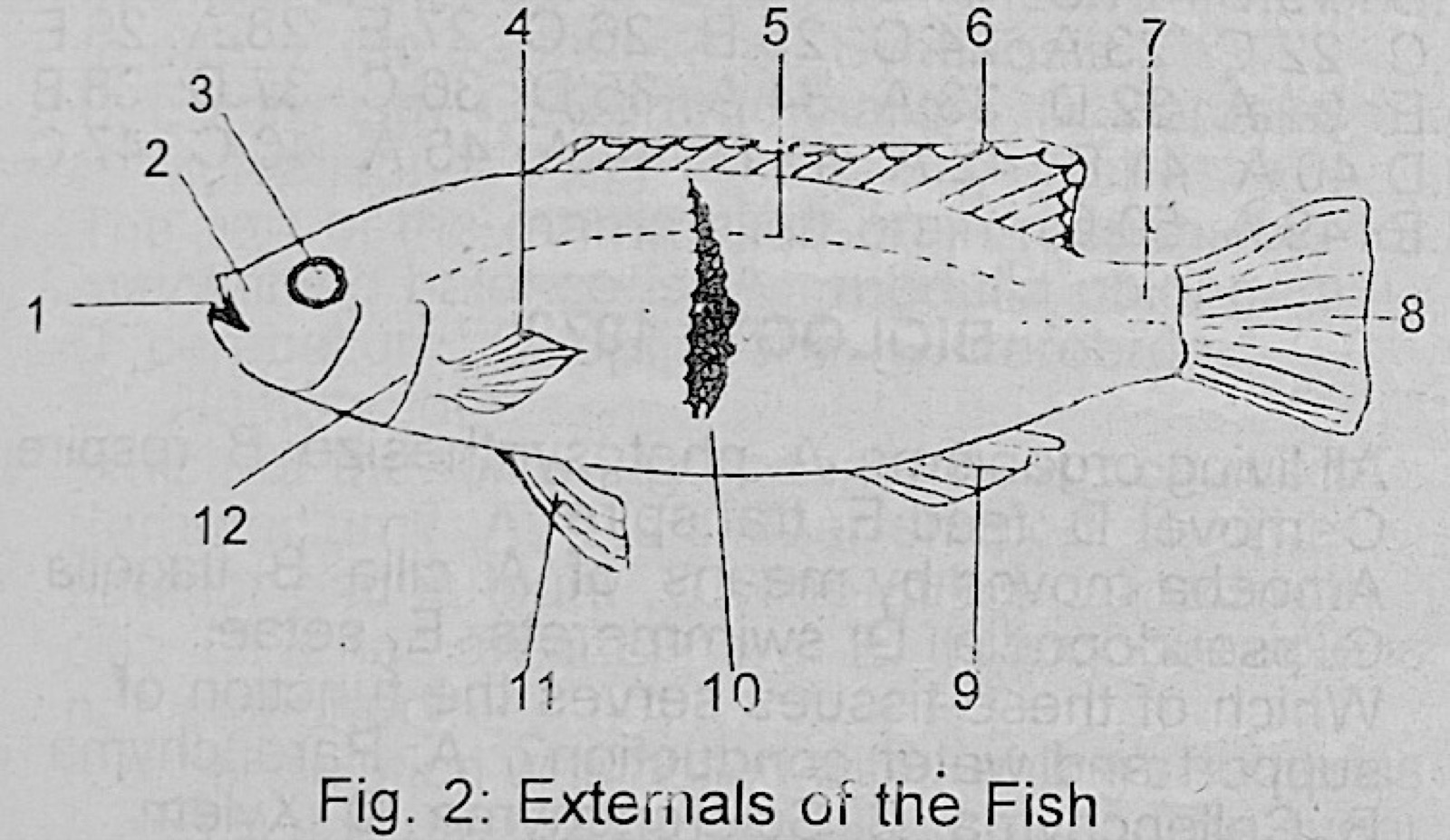 Diagram for this question