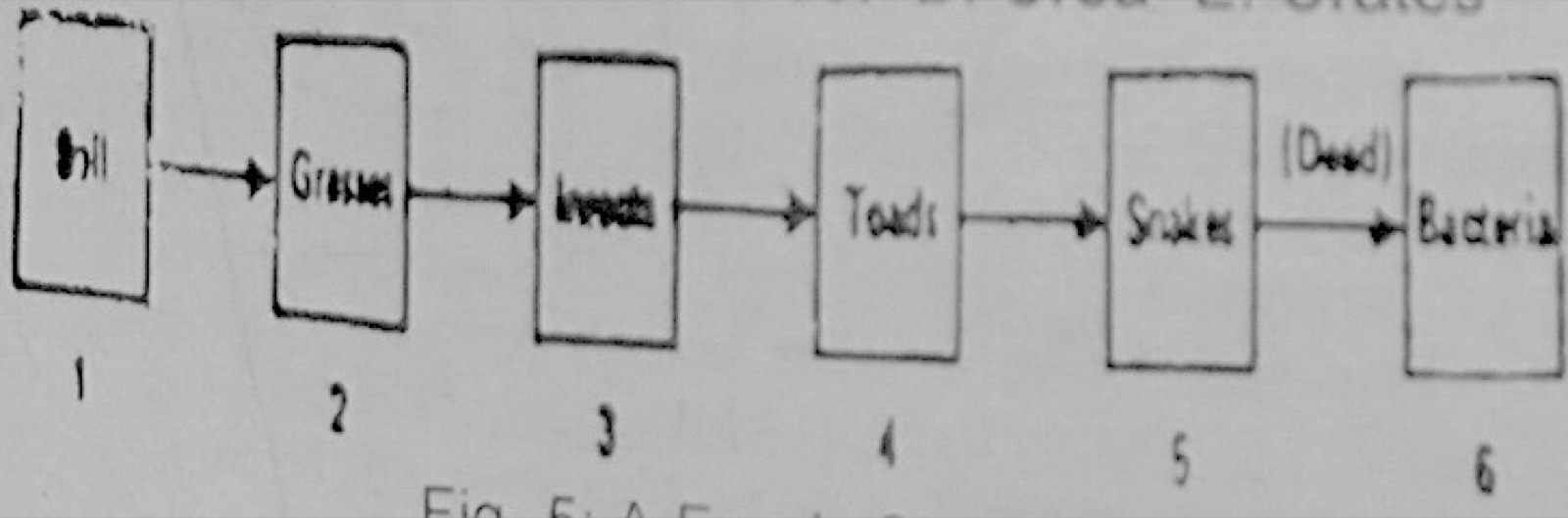 Diagram for this question