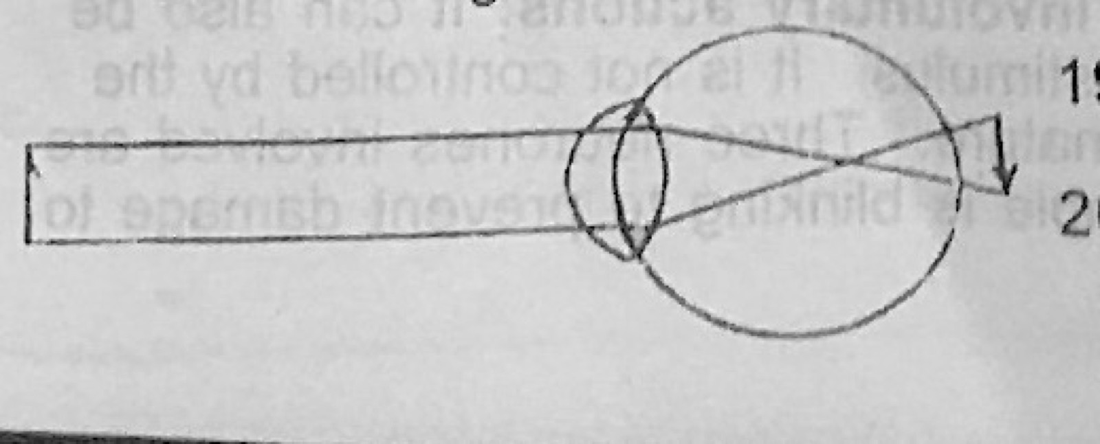 Diagram for this question