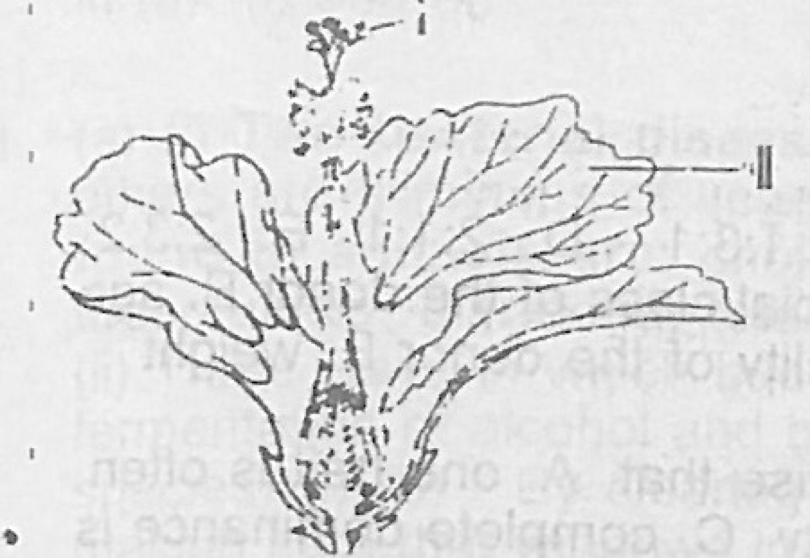 Diagram for this question