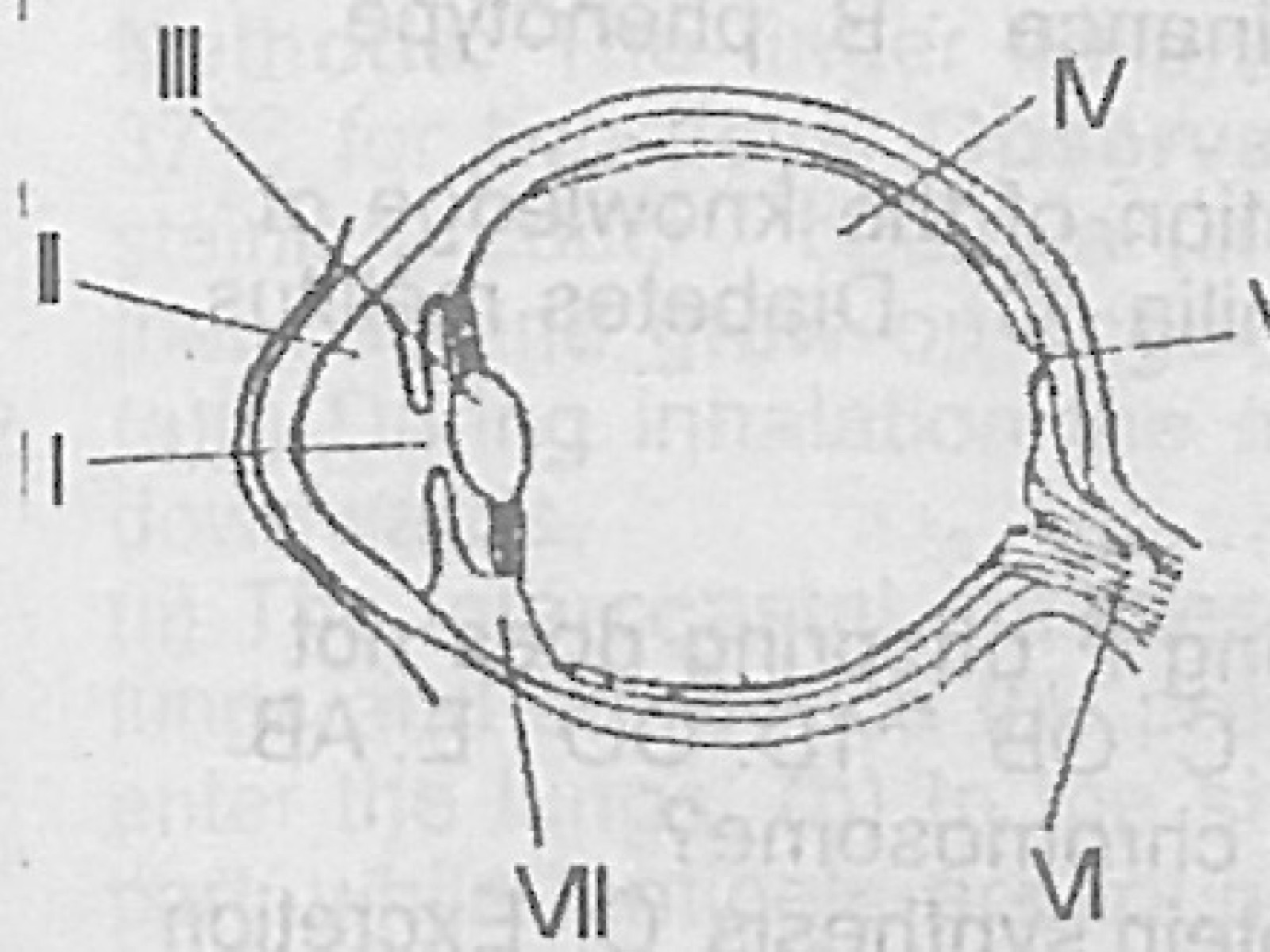 Diagram for this question