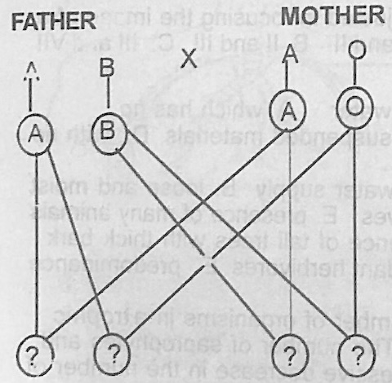 Diagram for this question