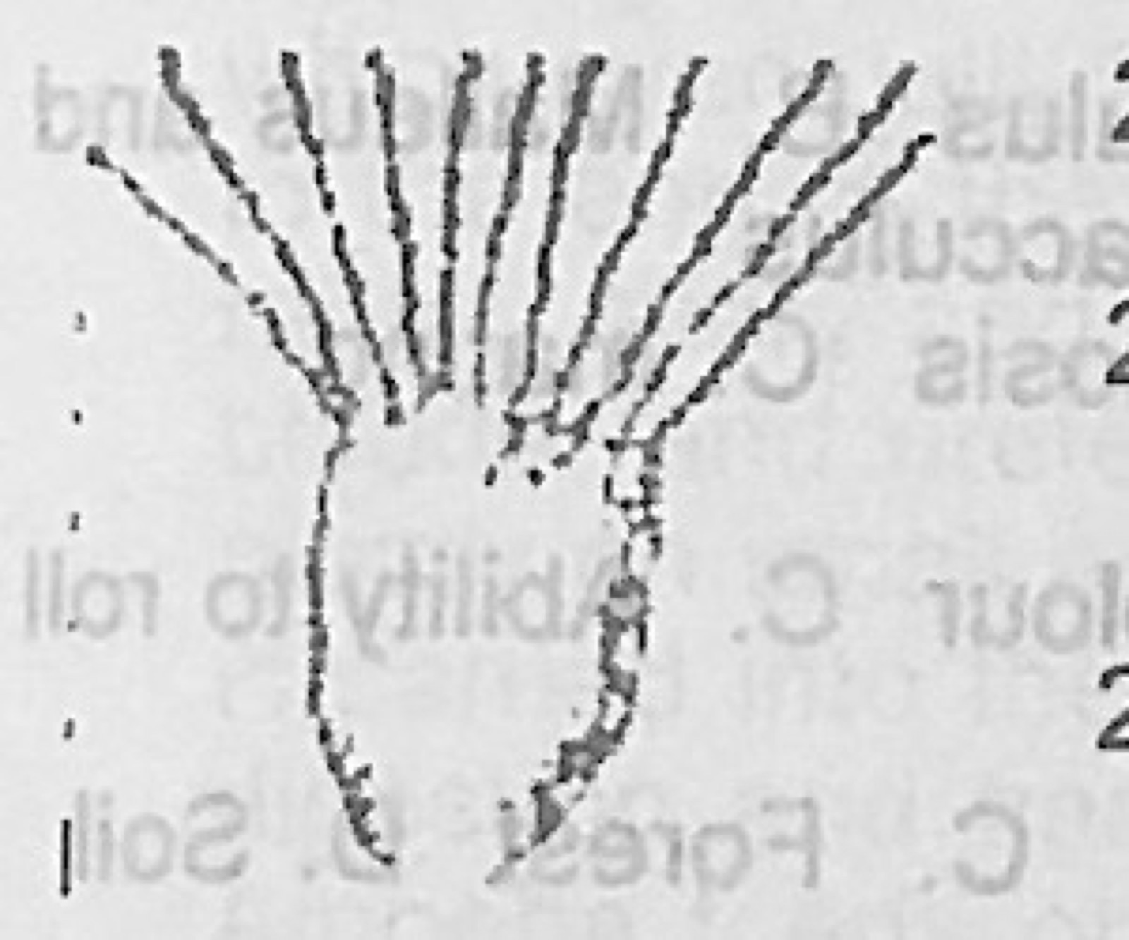 Diagram for this question