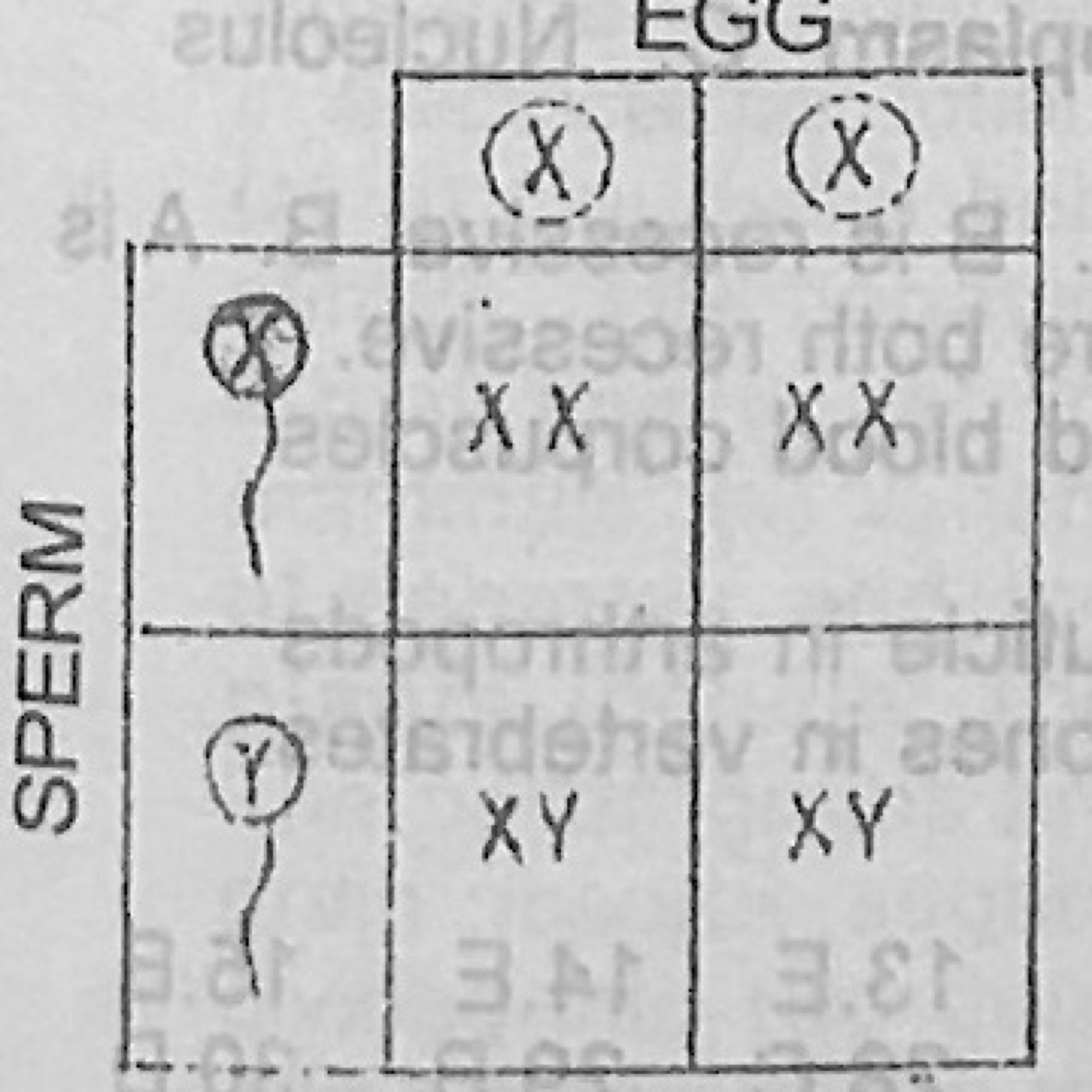 Diagram for this question