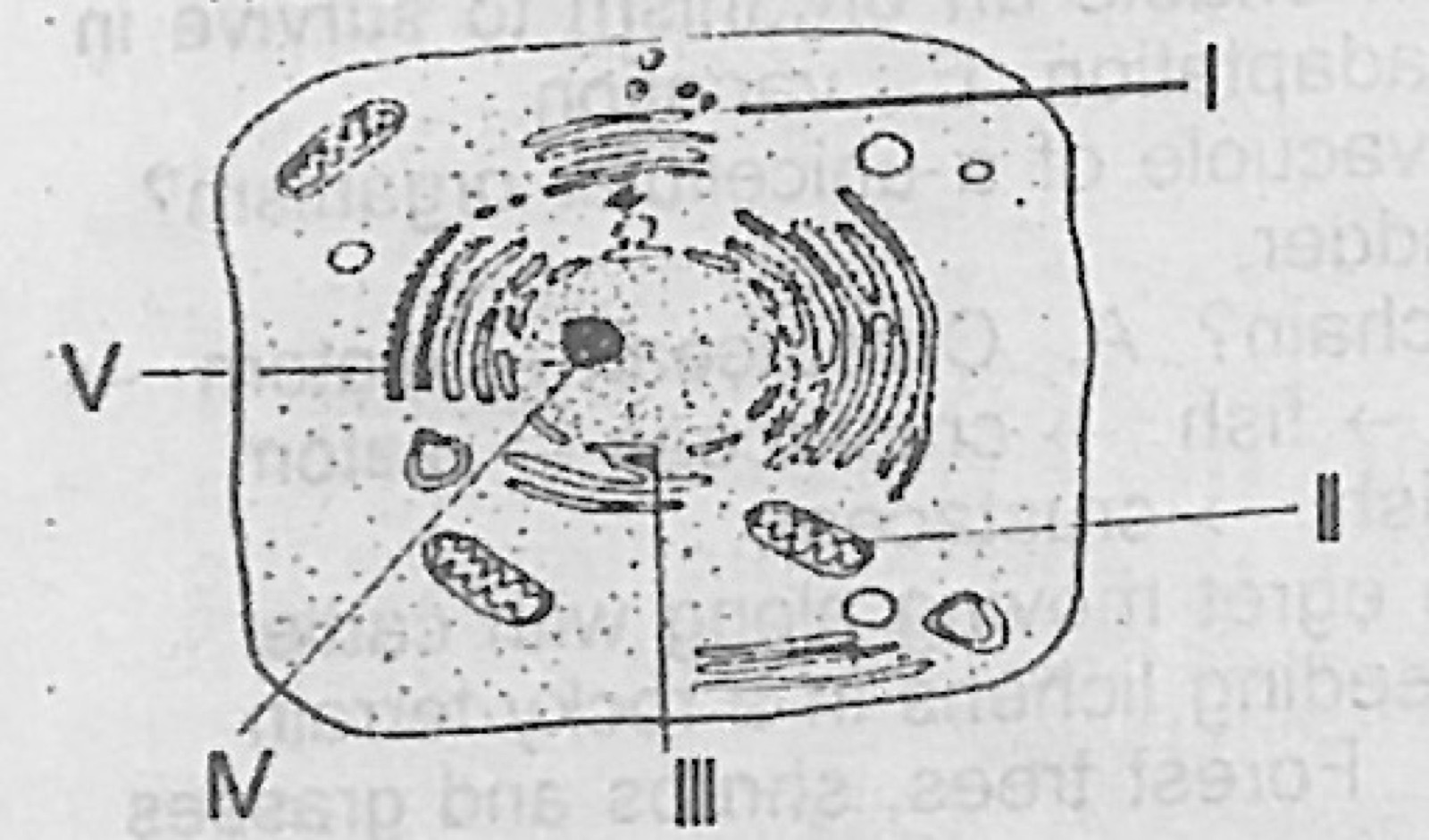 Diagram for this question