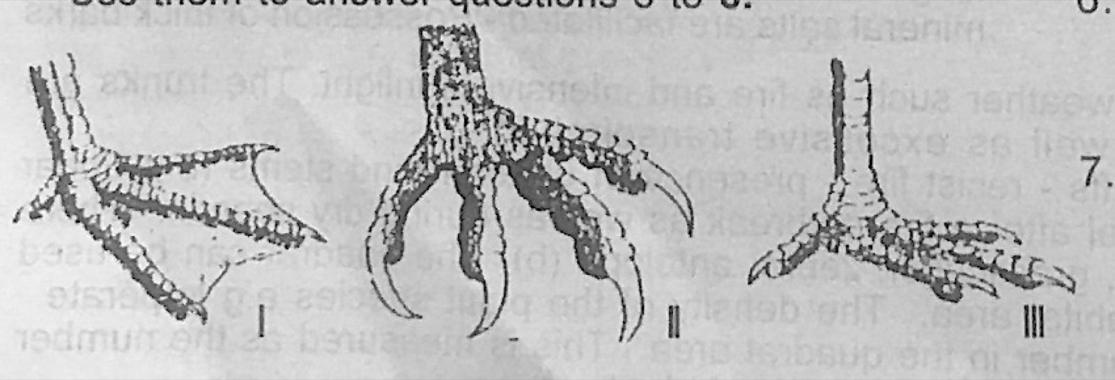 Diagram for this question