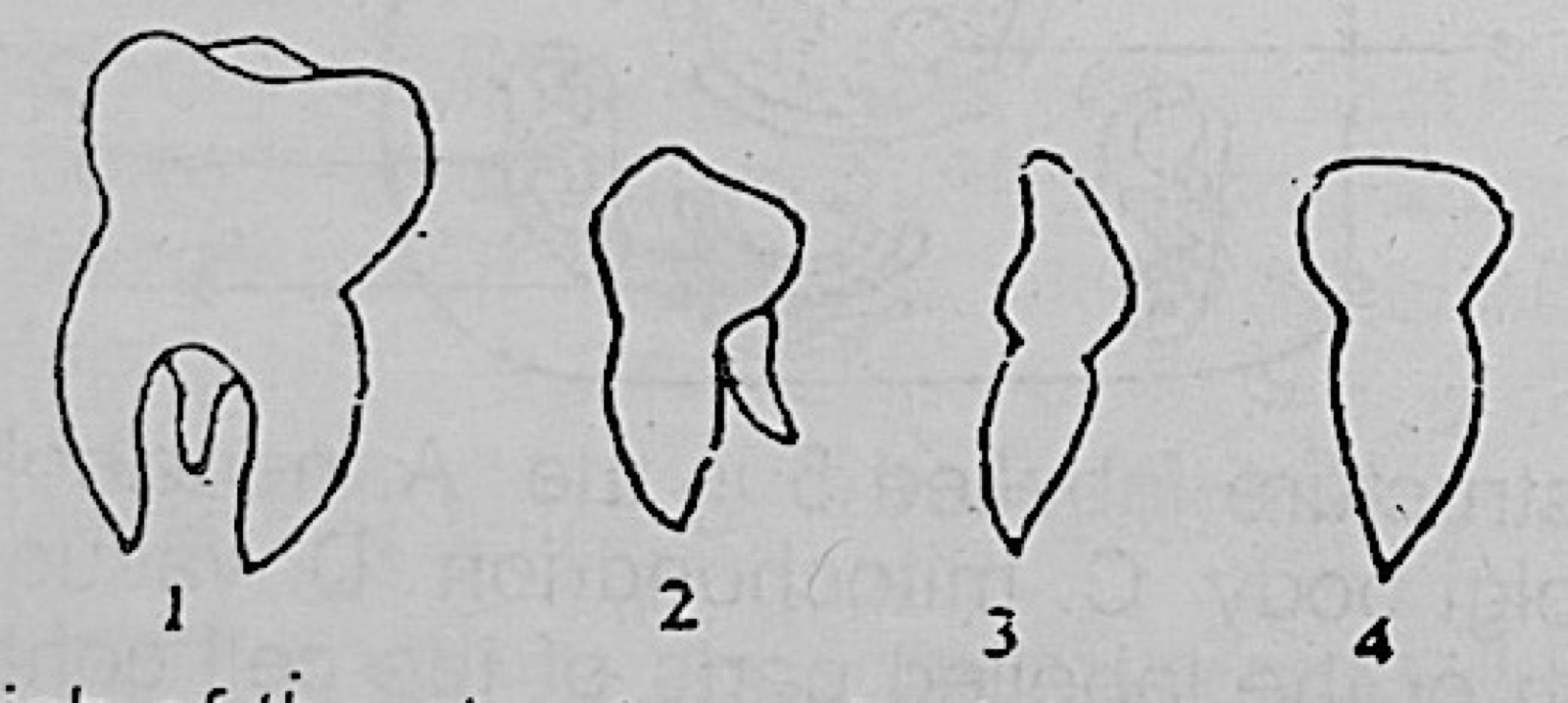 Diagram for this question