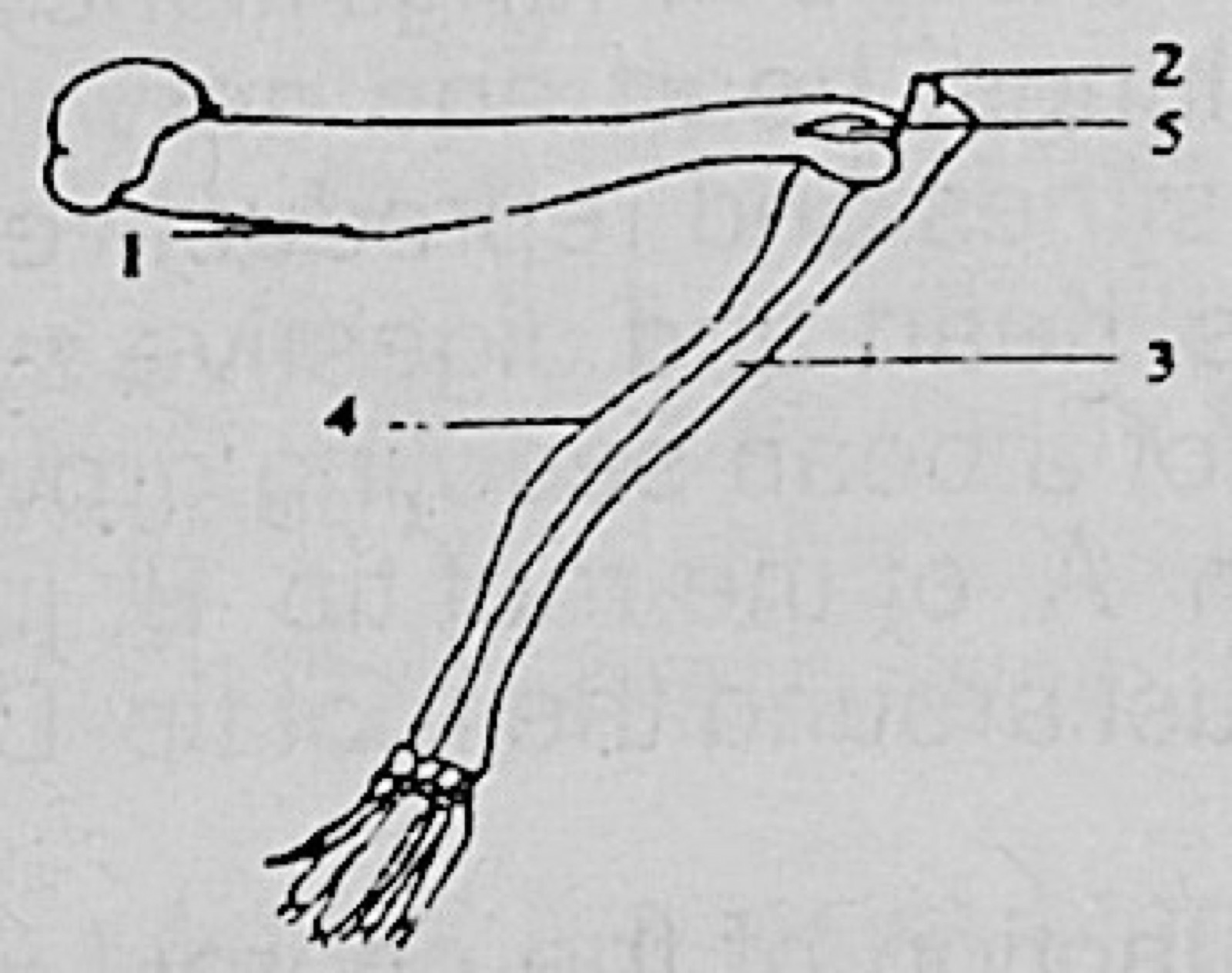 Diagram for this question