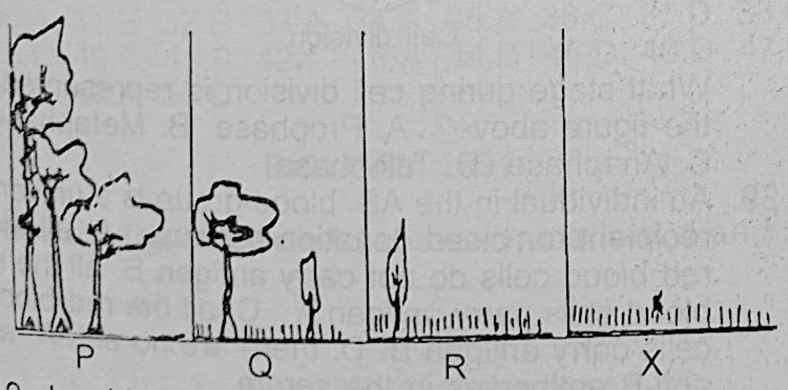 Diagram for this question
