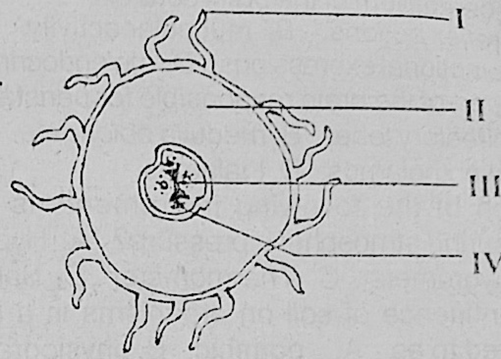 Diagram for this question