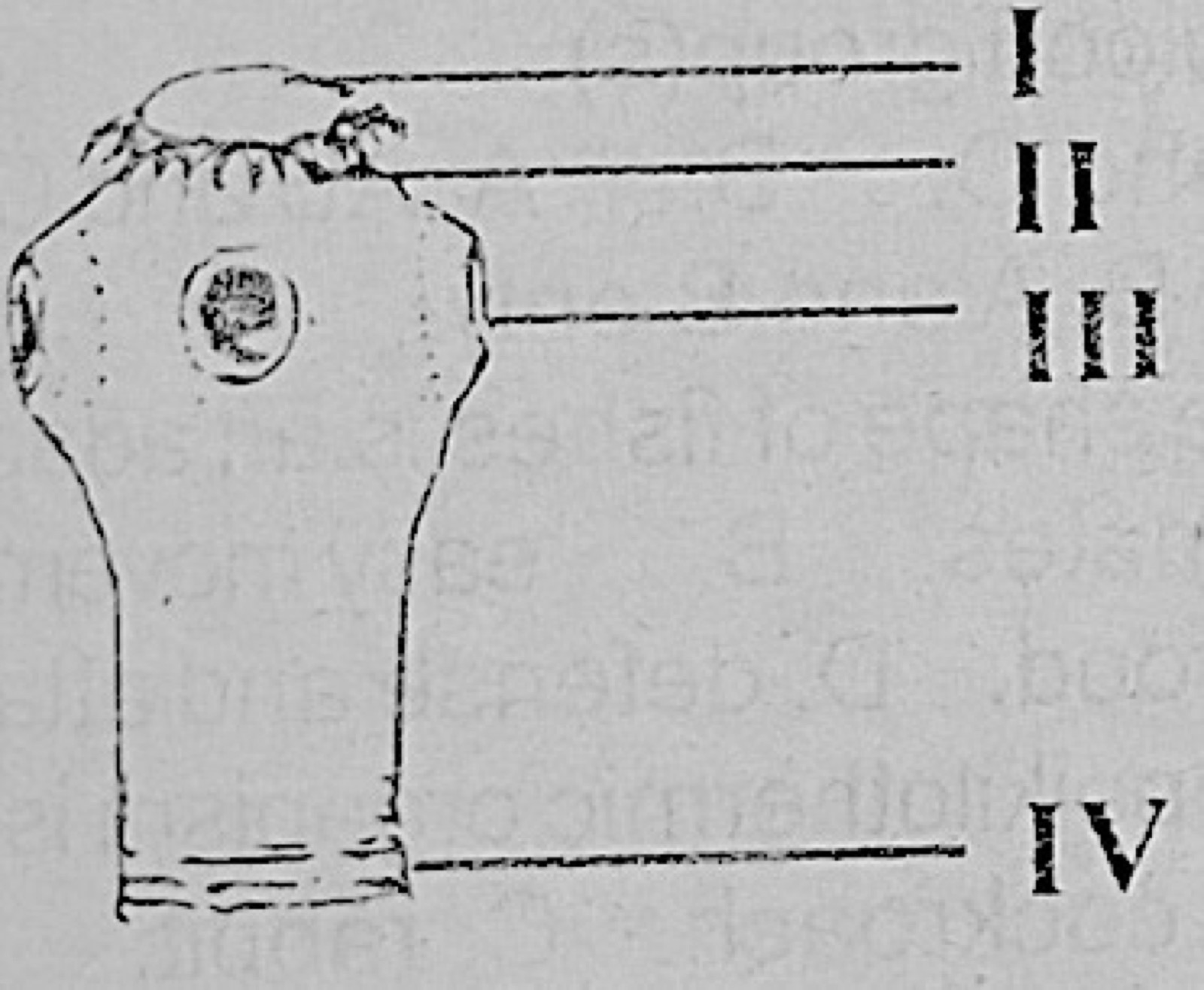 Diagram for this question