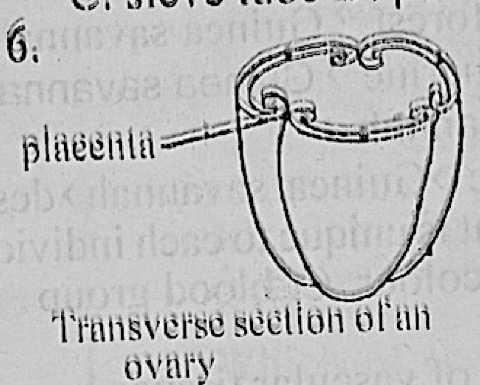 Diagram for this question