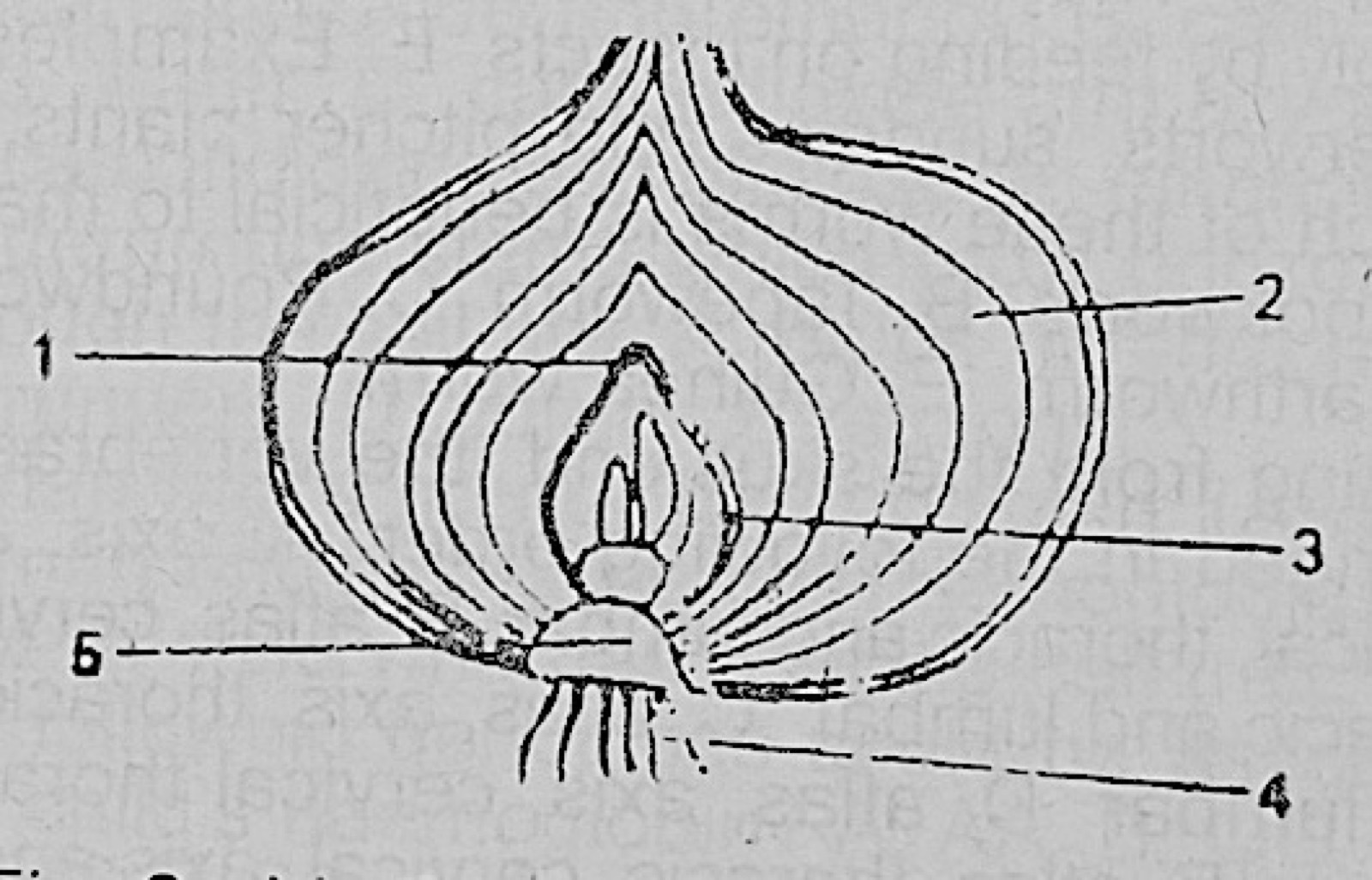 Diagram for this question