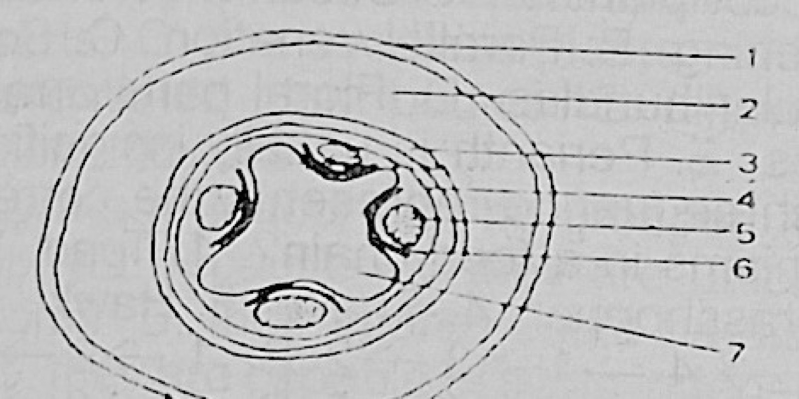 Diagram for this question