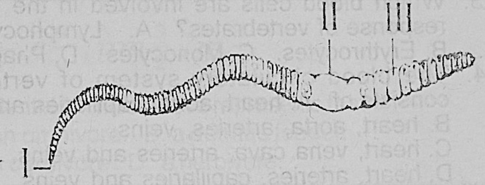 Diagram for this question