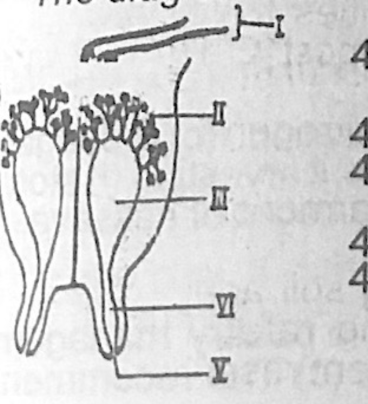 Diagram for this question
