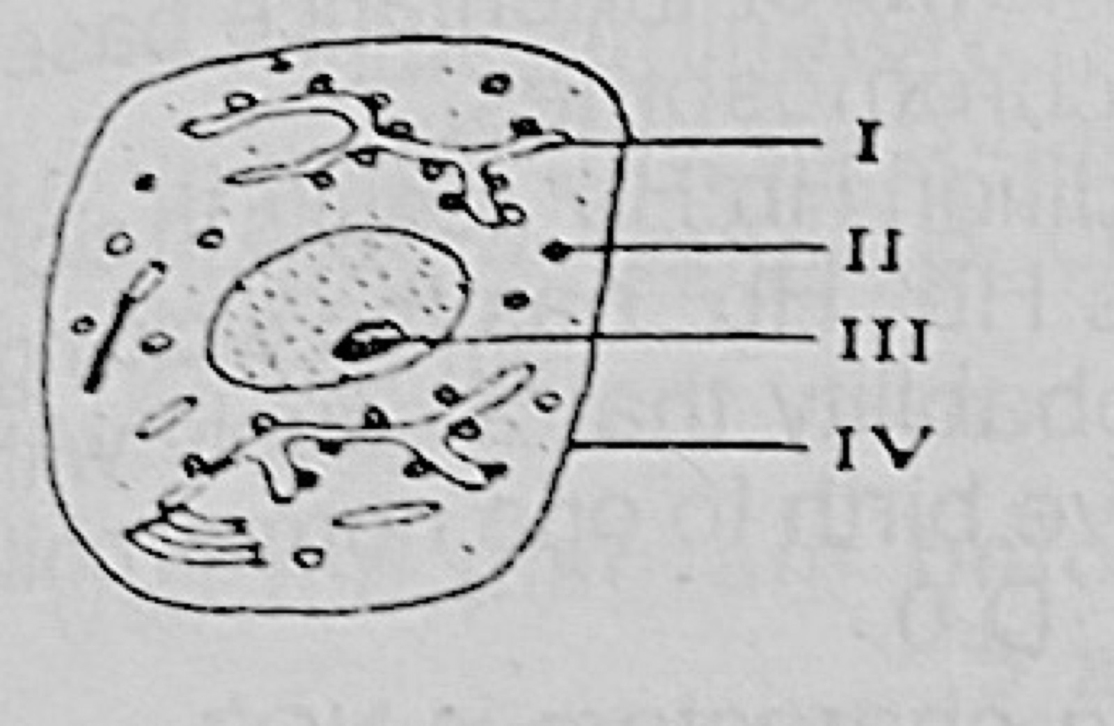 Diagram for this question
