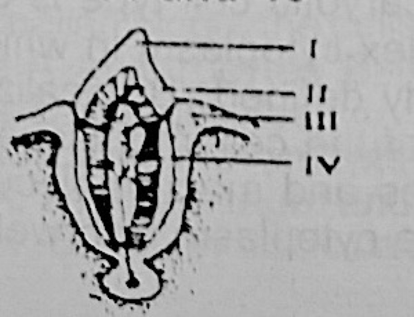 Diagram for this question