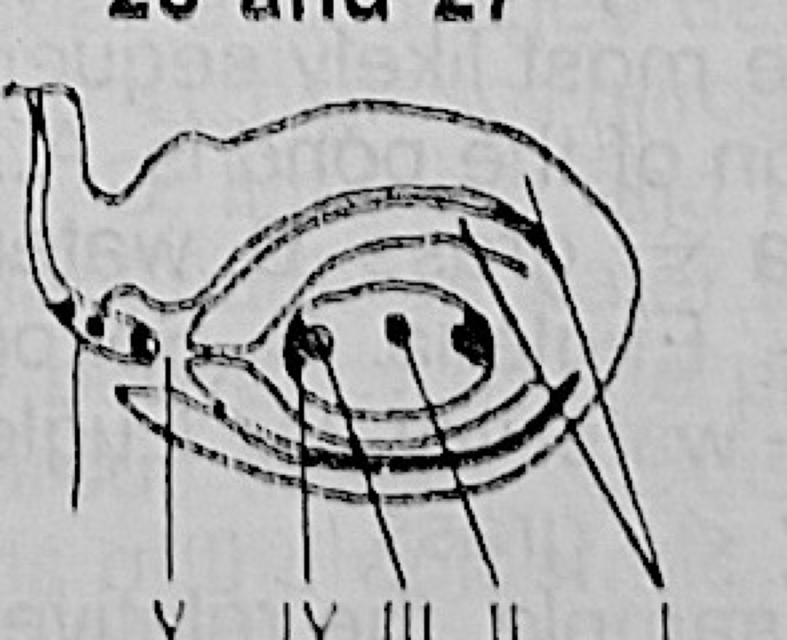 Diagram for this question
