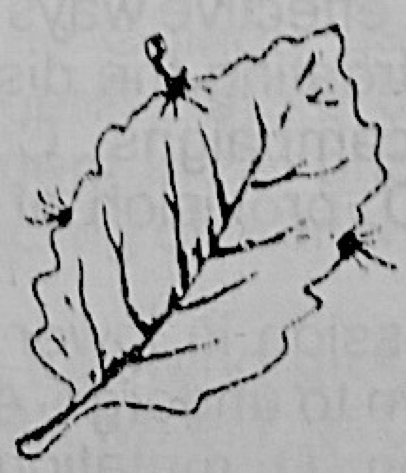 Diagram for this question