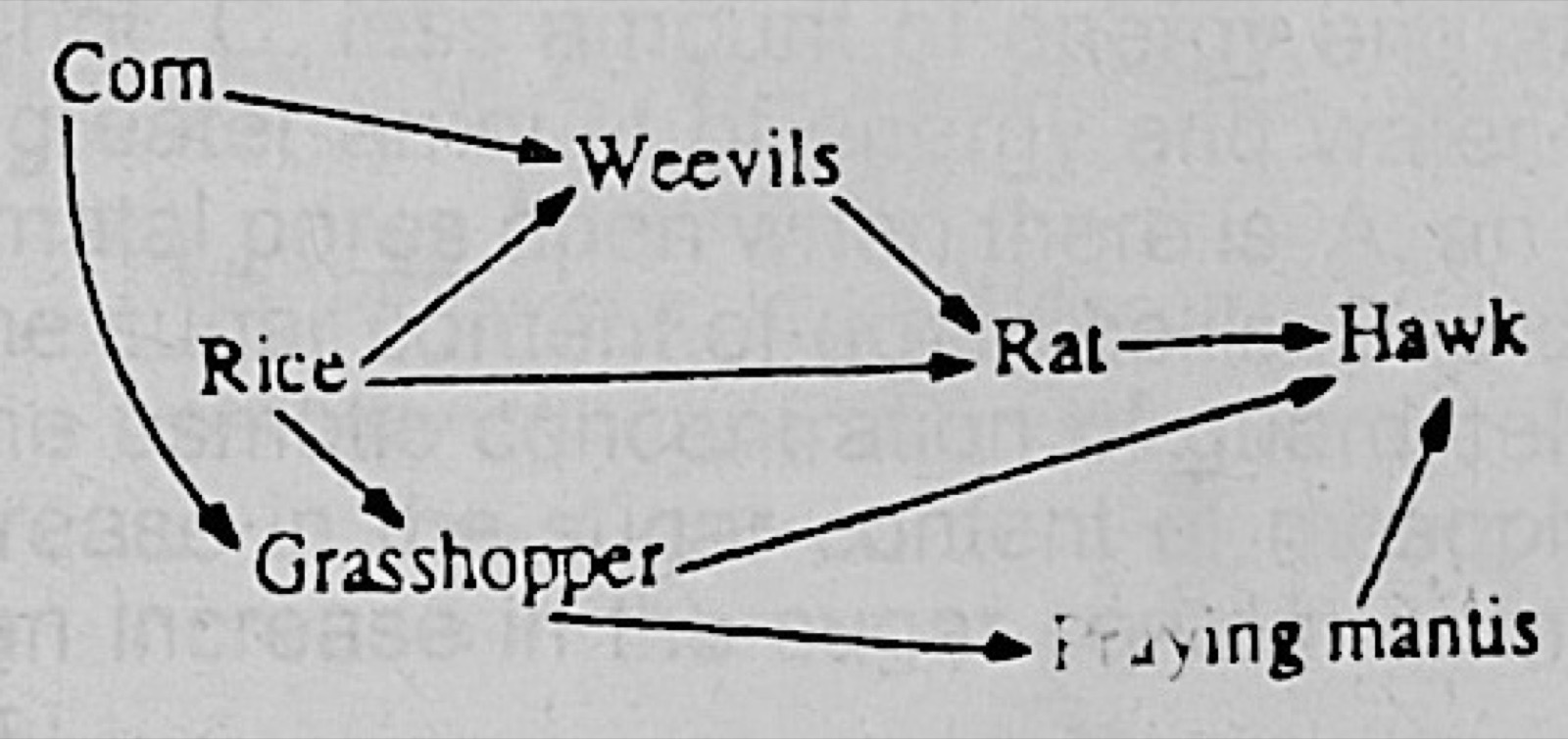 Diagram for this question