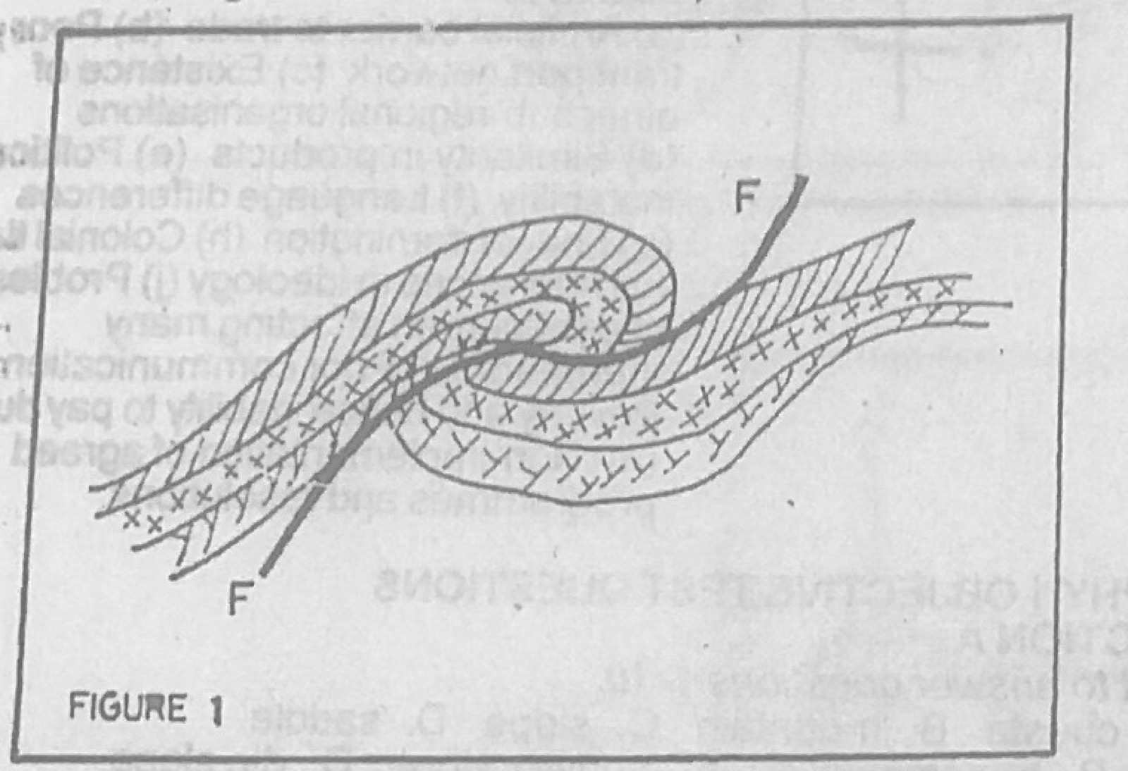 Diagram for this question