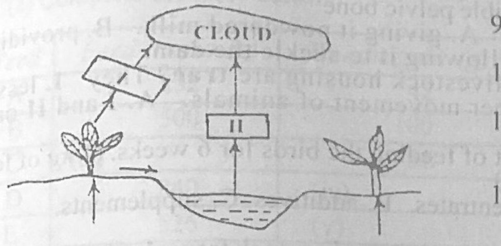 Diagram for this question