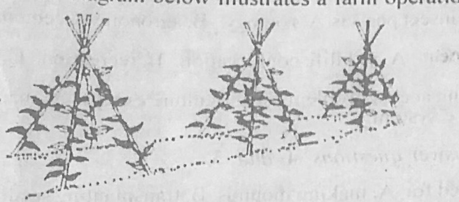 Diagram for this question