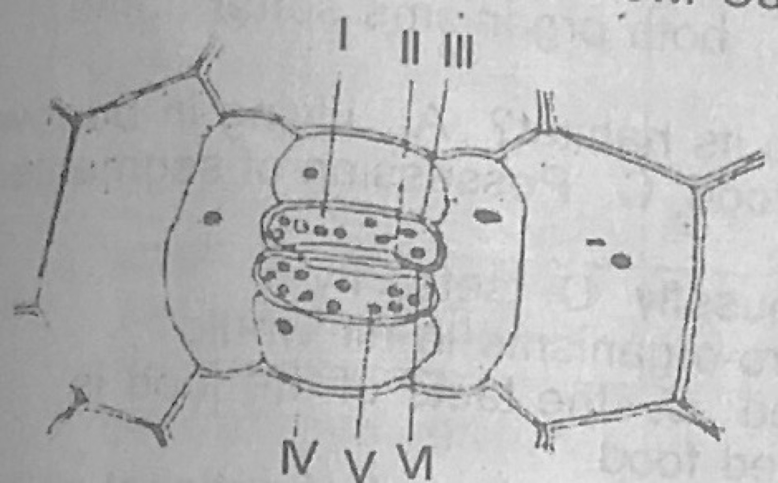 Diagram for this question