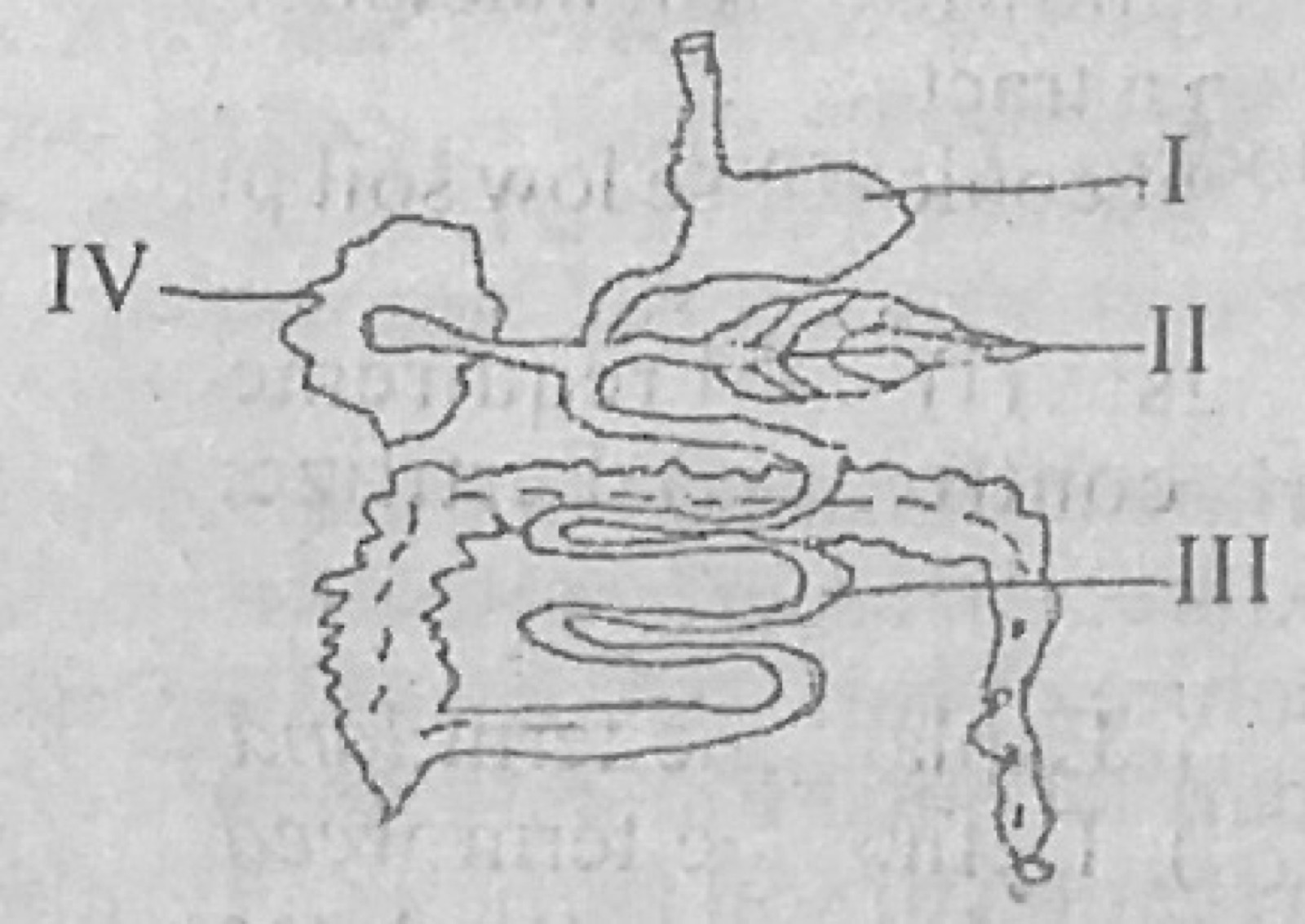 Diagram for this question