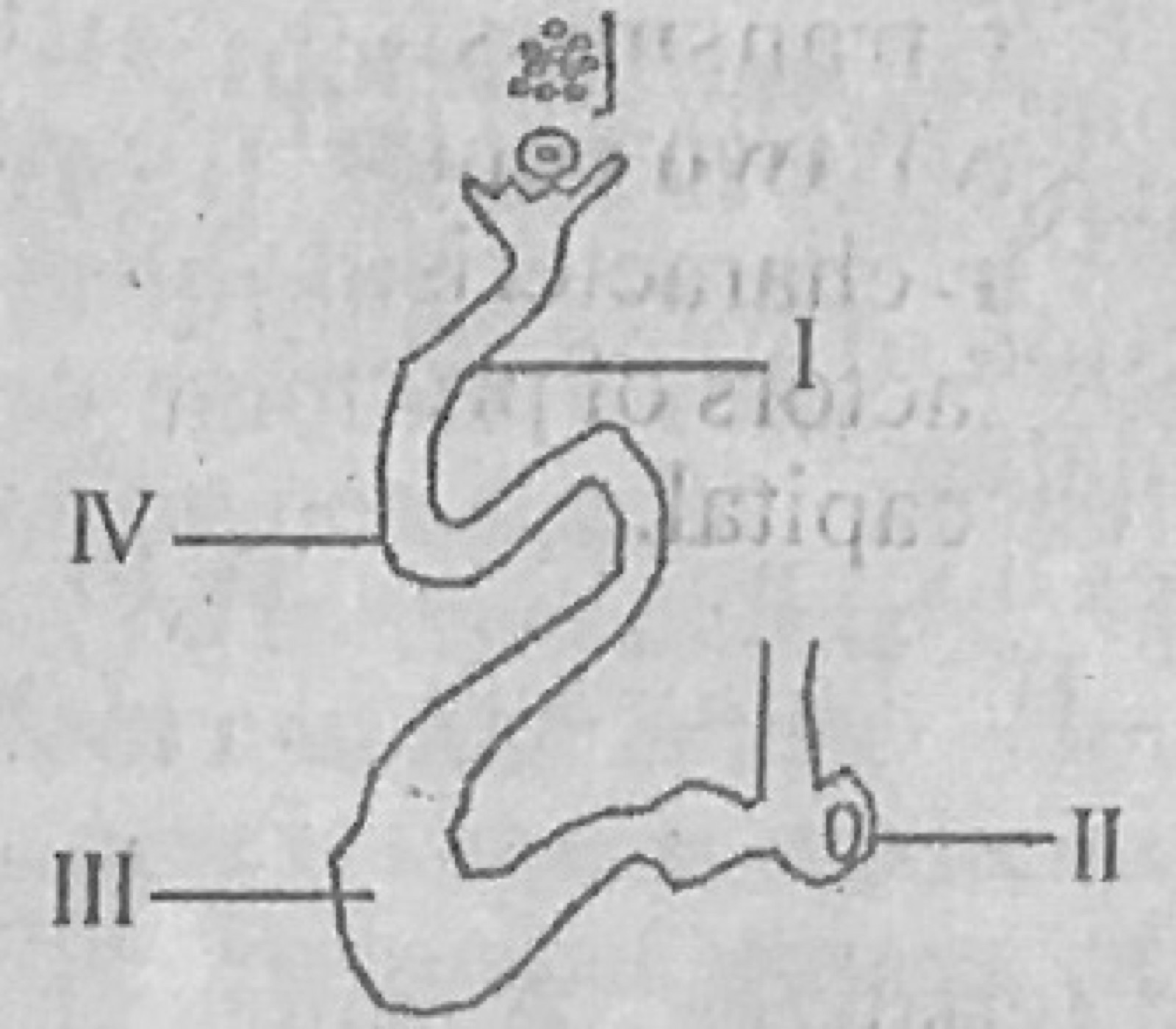 Diagram for this question