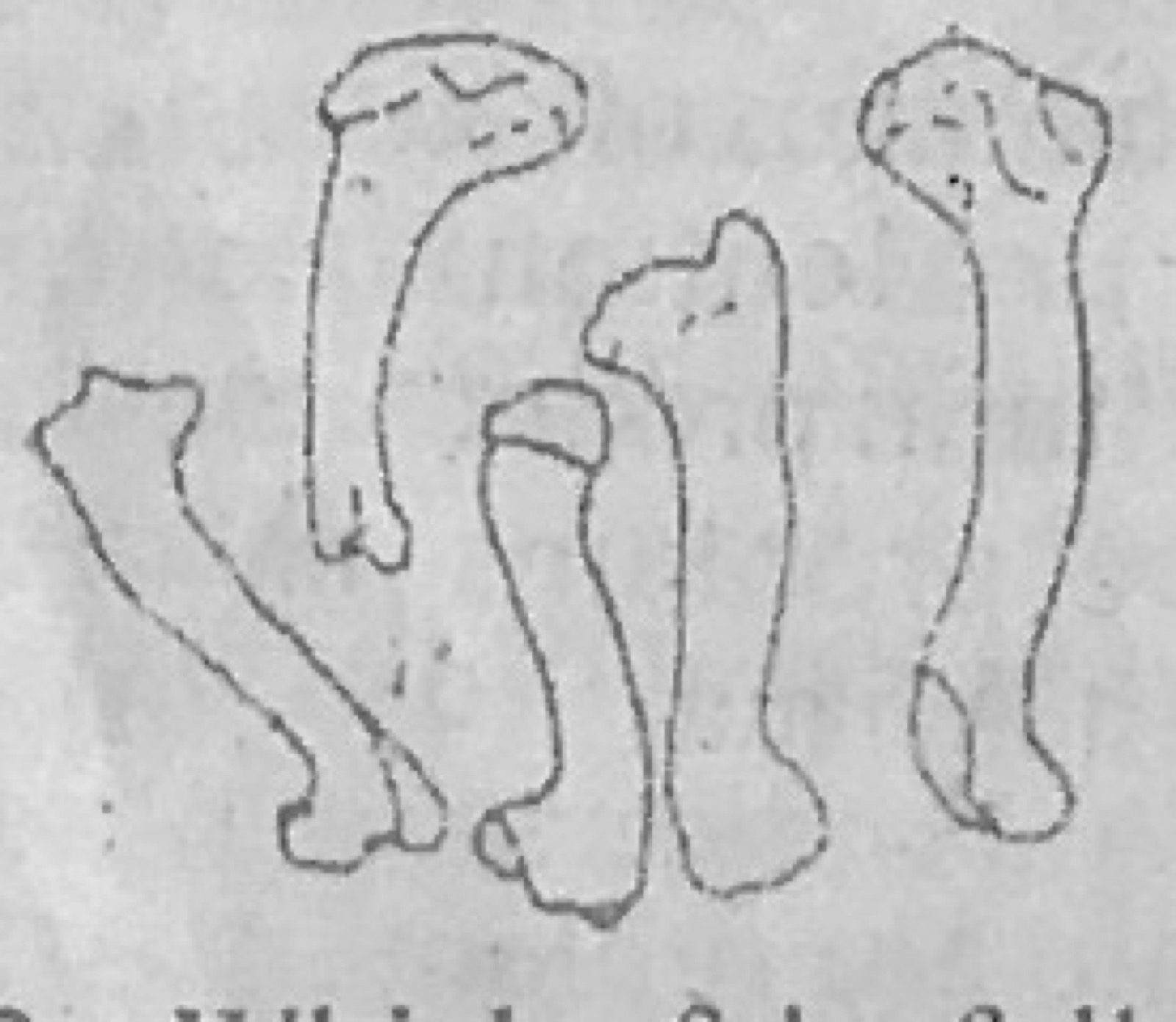 Diagram for this question