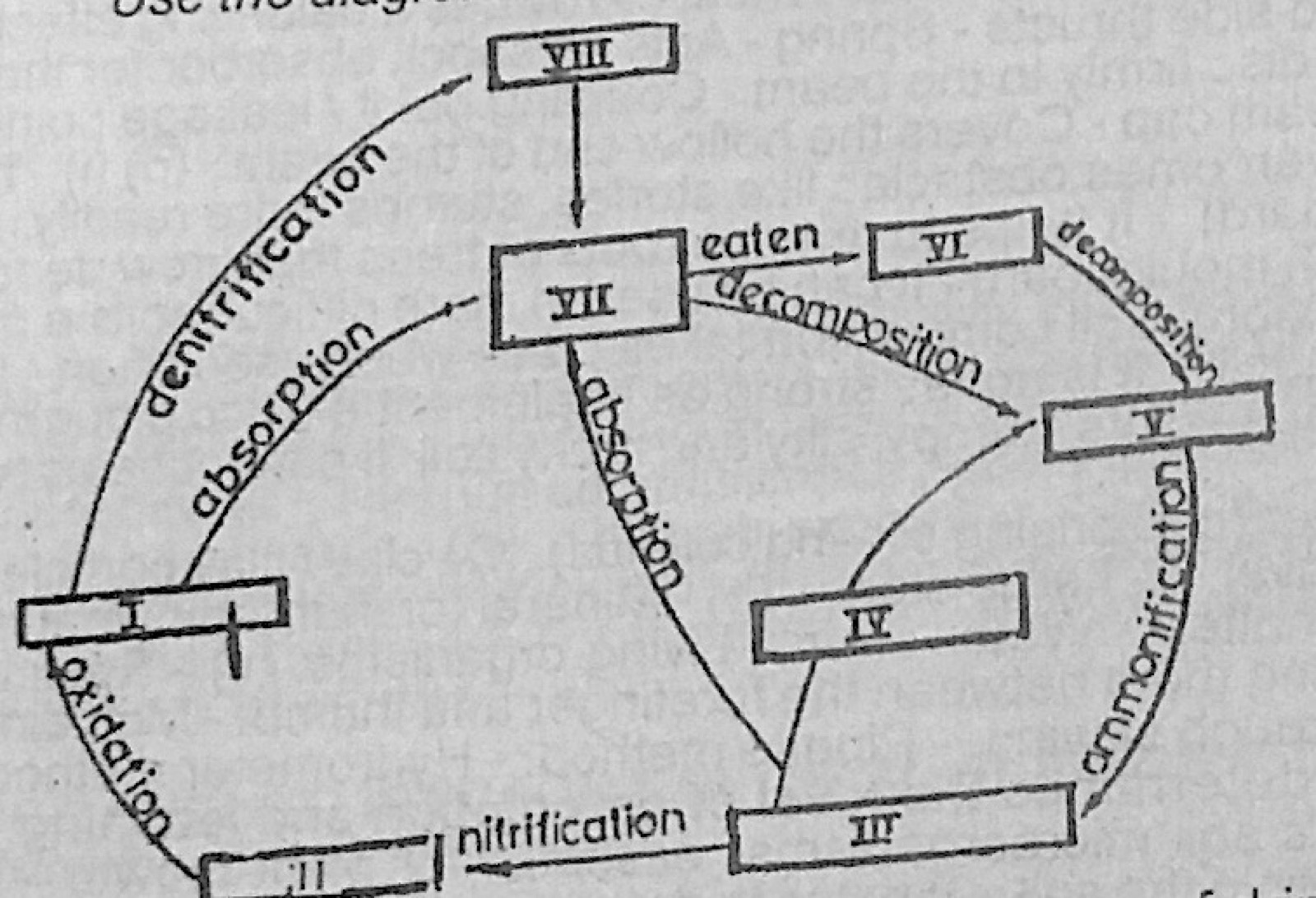 Diagram for this question