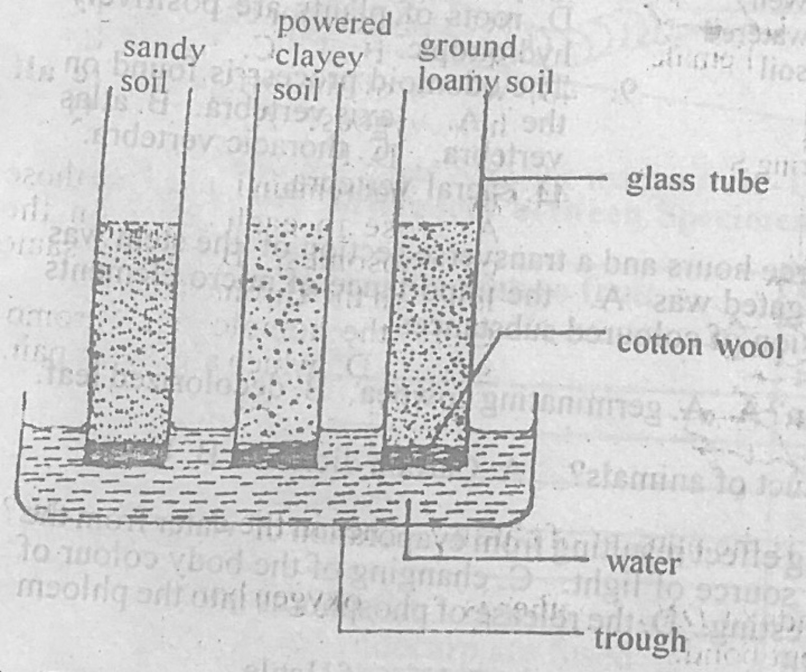 Diagram for this question