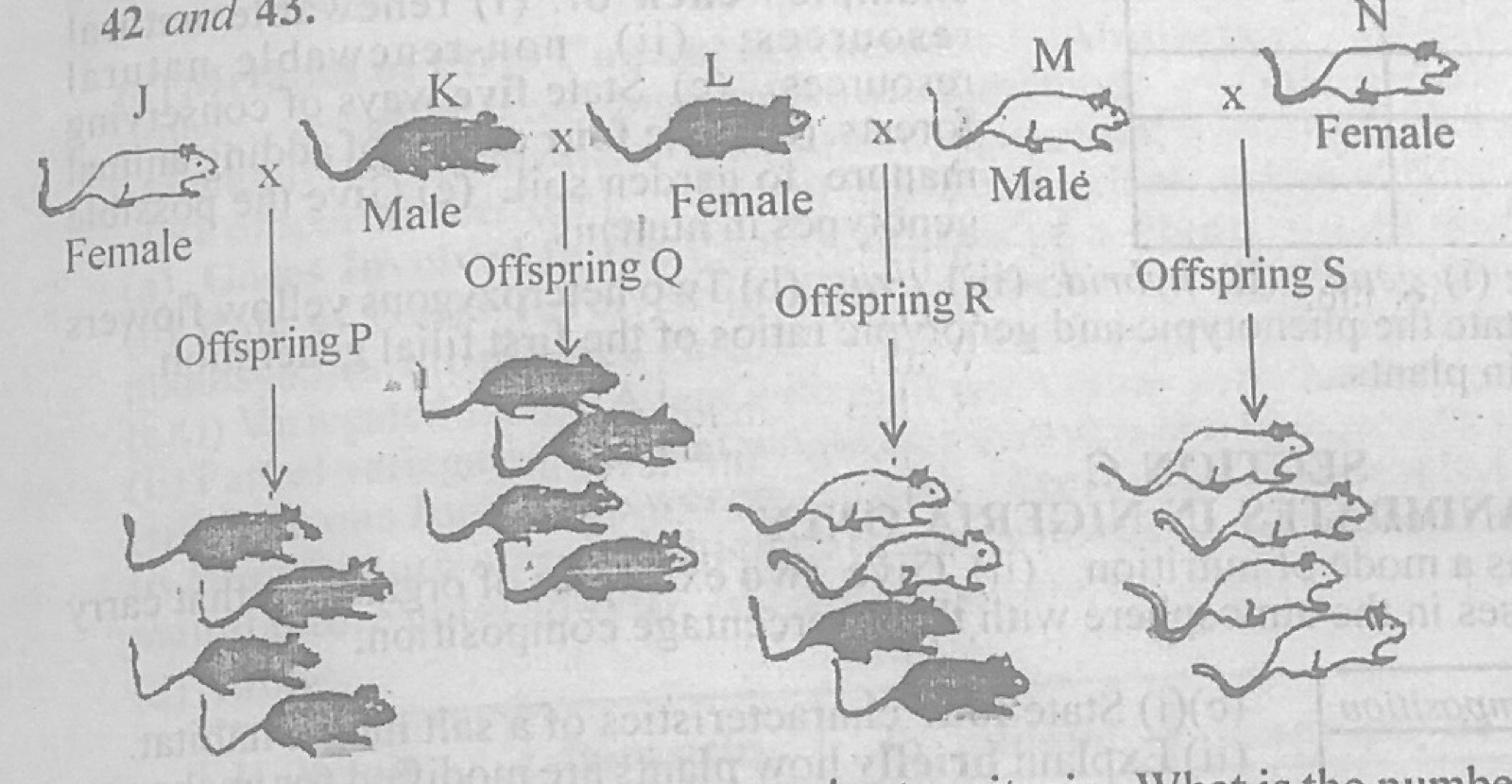 Diagram for this question
