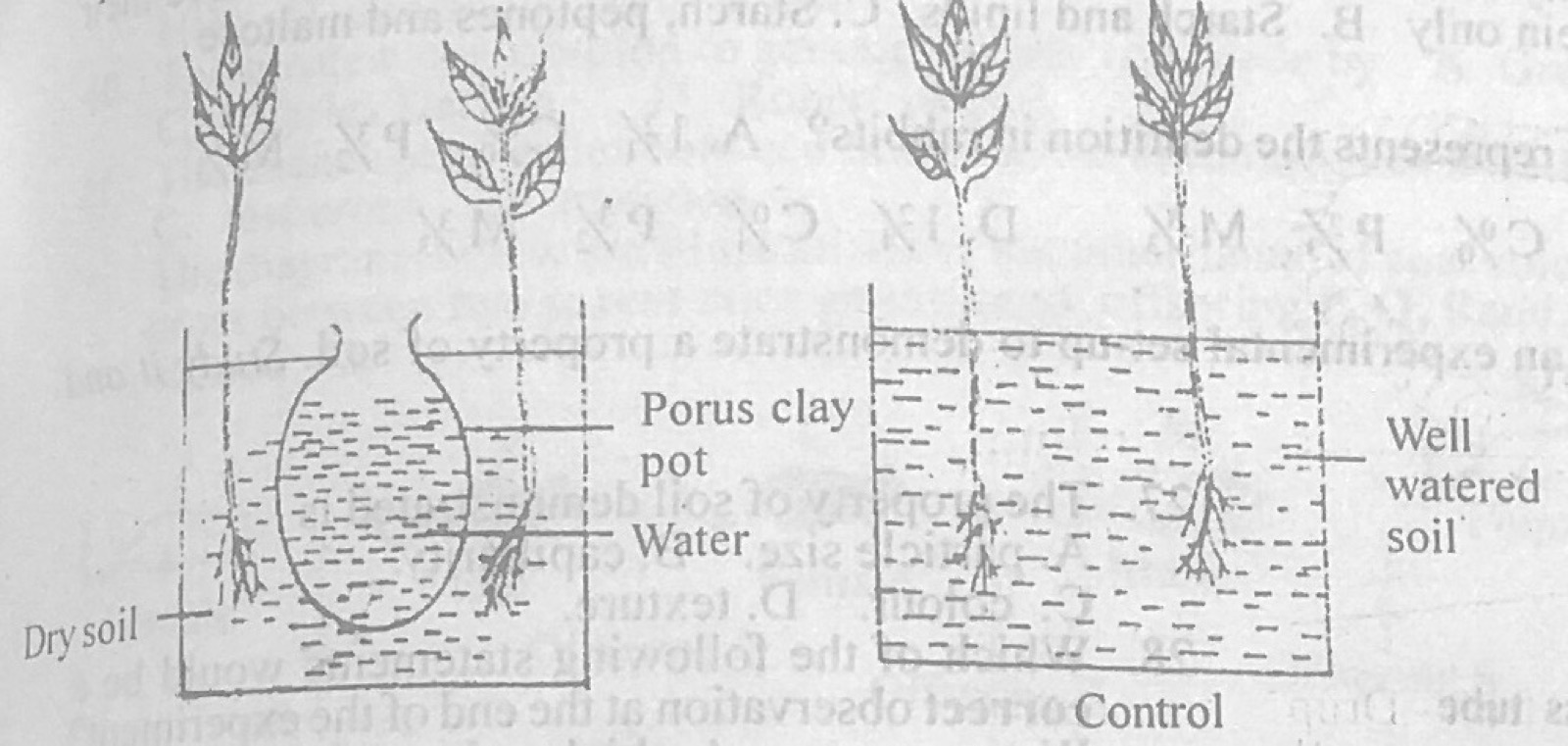Diagram for this question