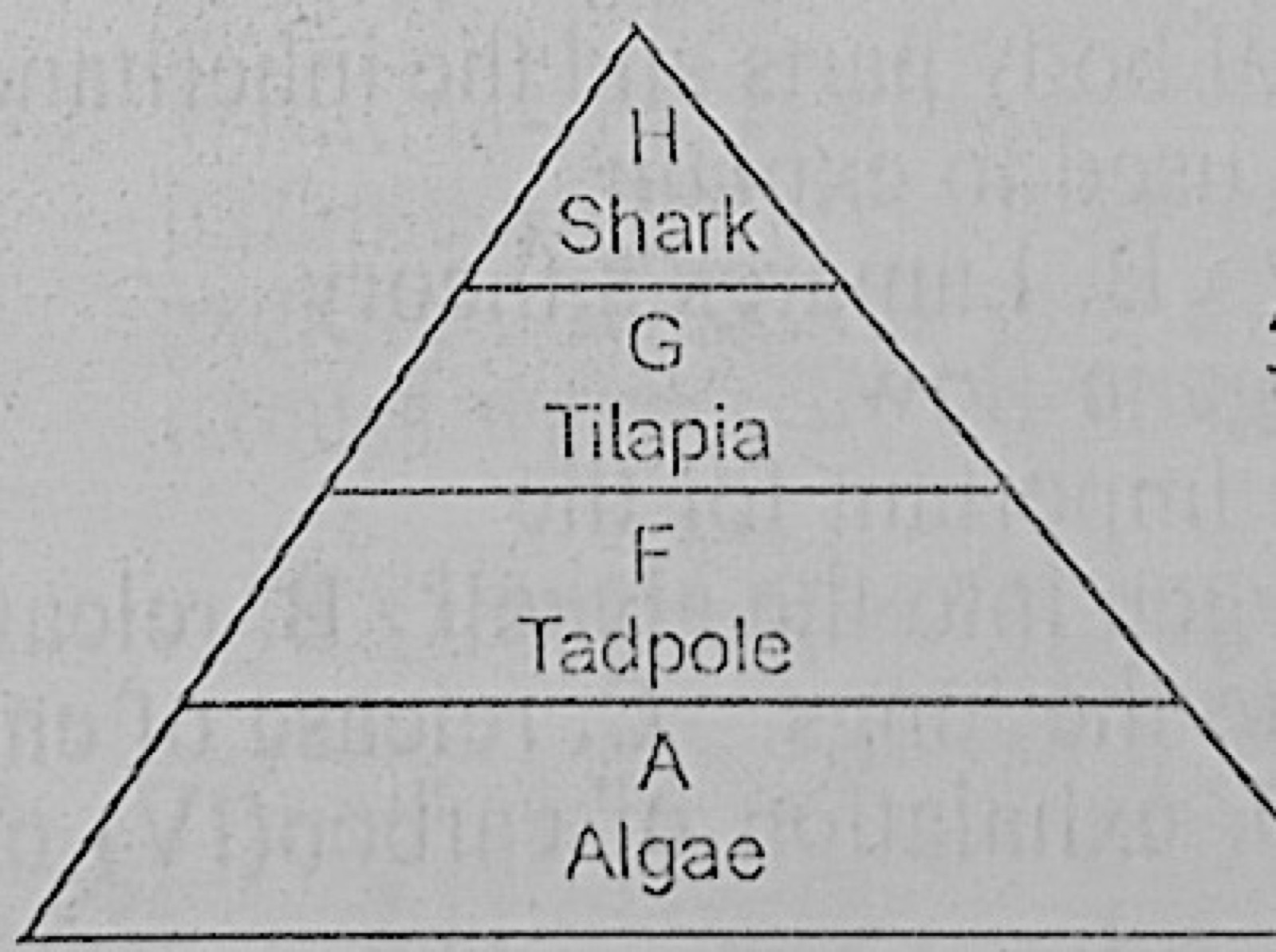 Diagram for this question