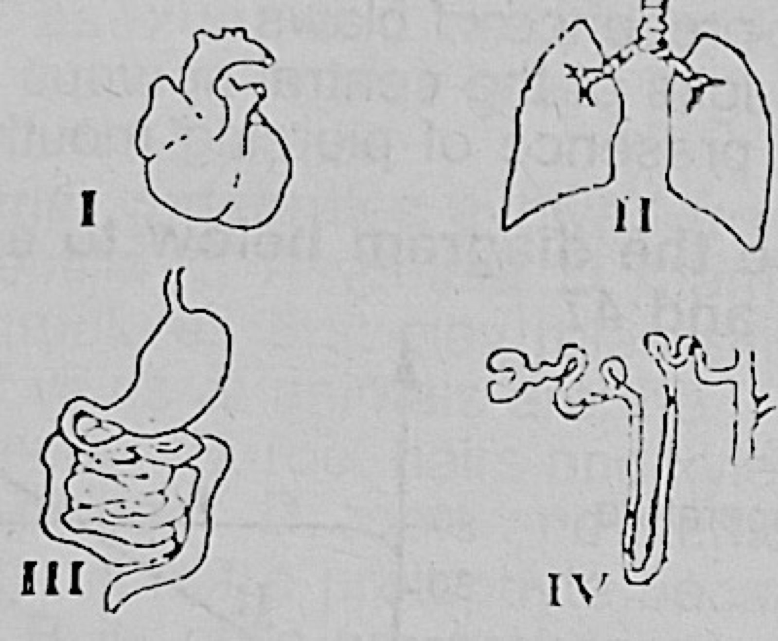 Diagram for this question
