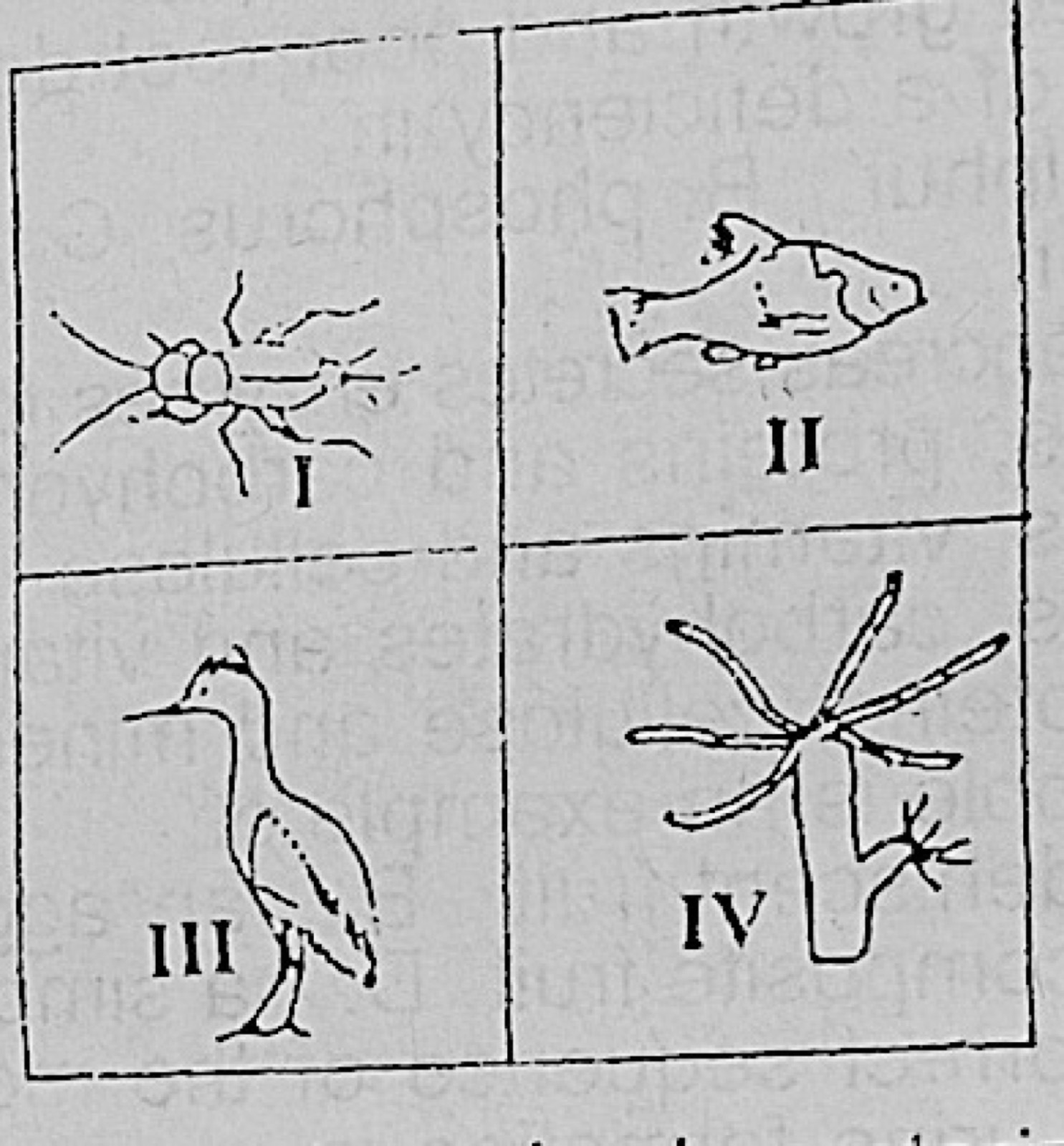 Diagram for this question