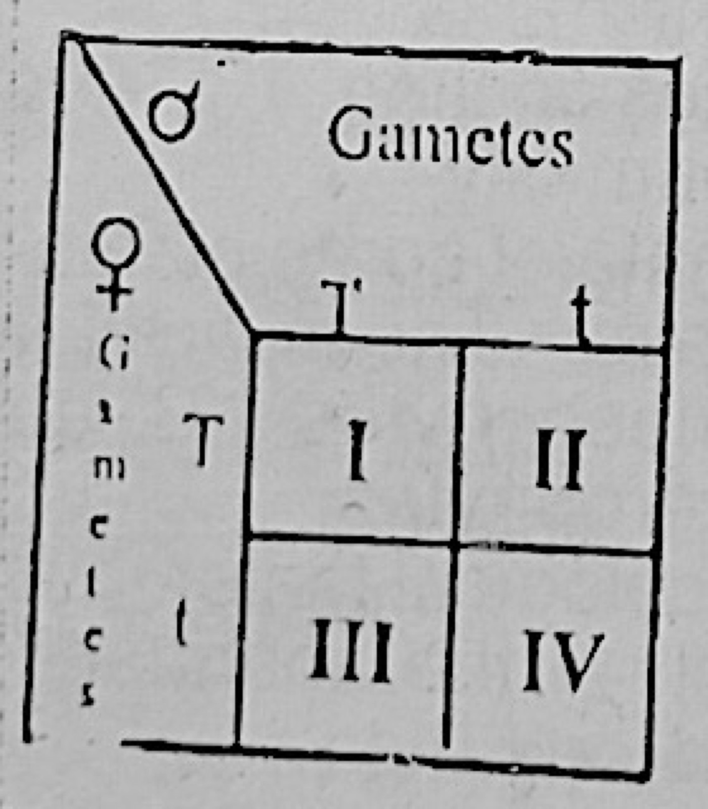 Diagram for this question