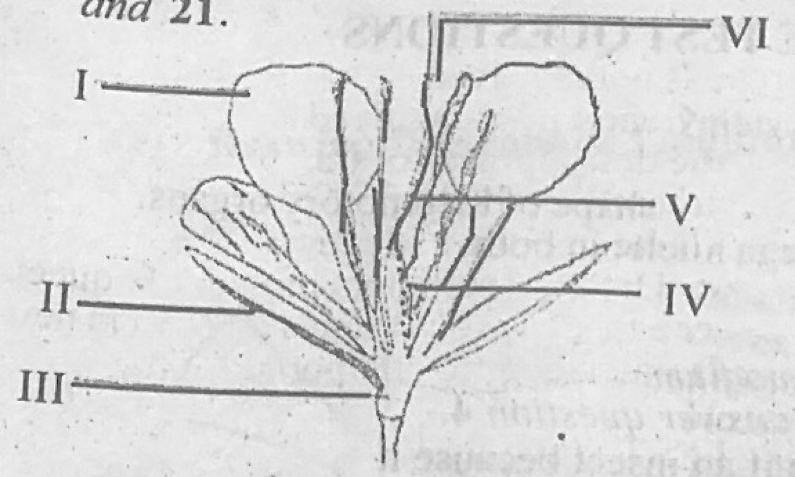 Diagram for this question