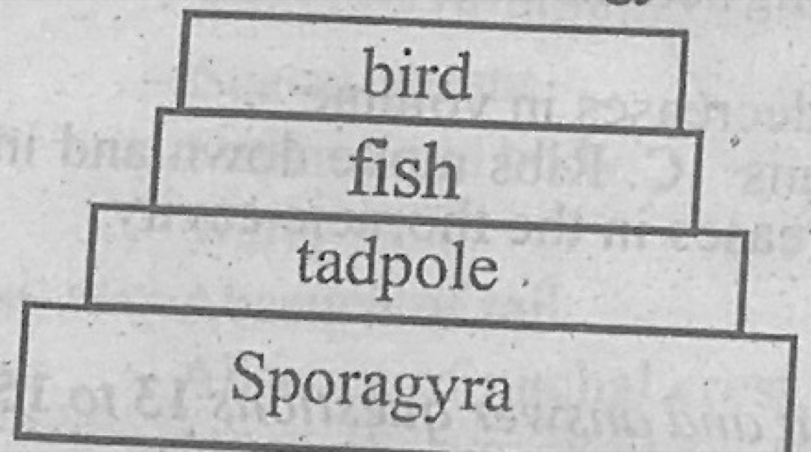 Diagram for this question