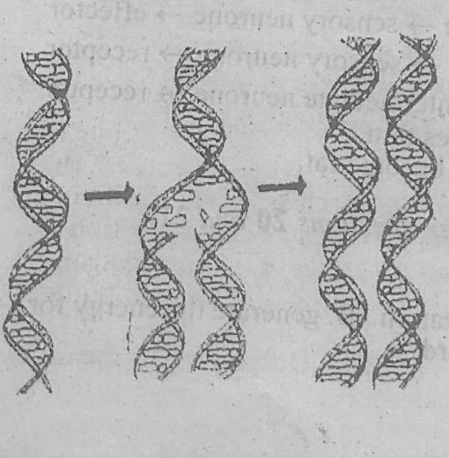 Diagram for this question