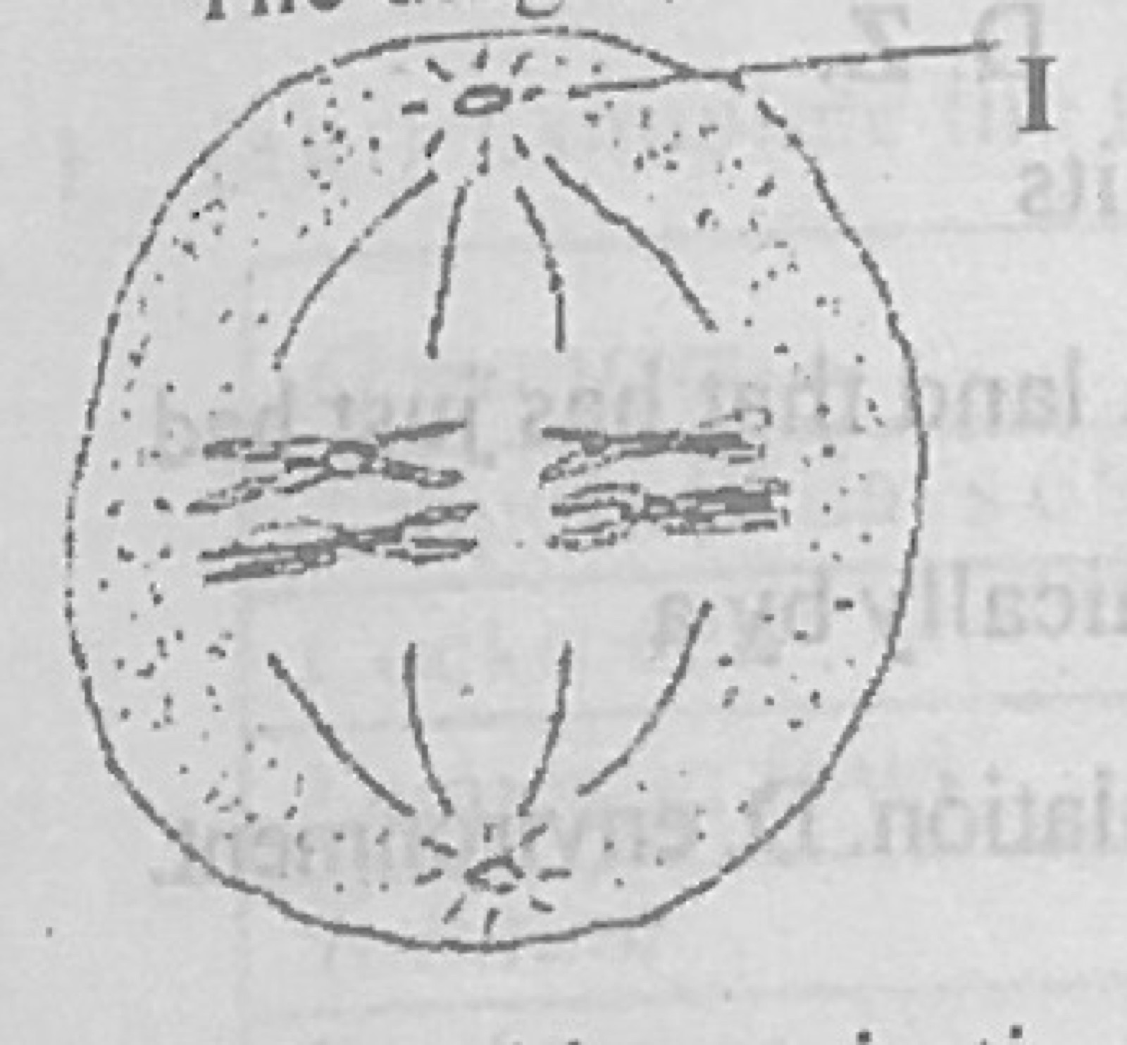 Diagram for this question